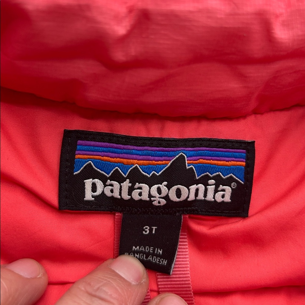 Patagonia Baby Pink Down Sweater Coat Puffer Jacket 3T - Picture 2 of 11